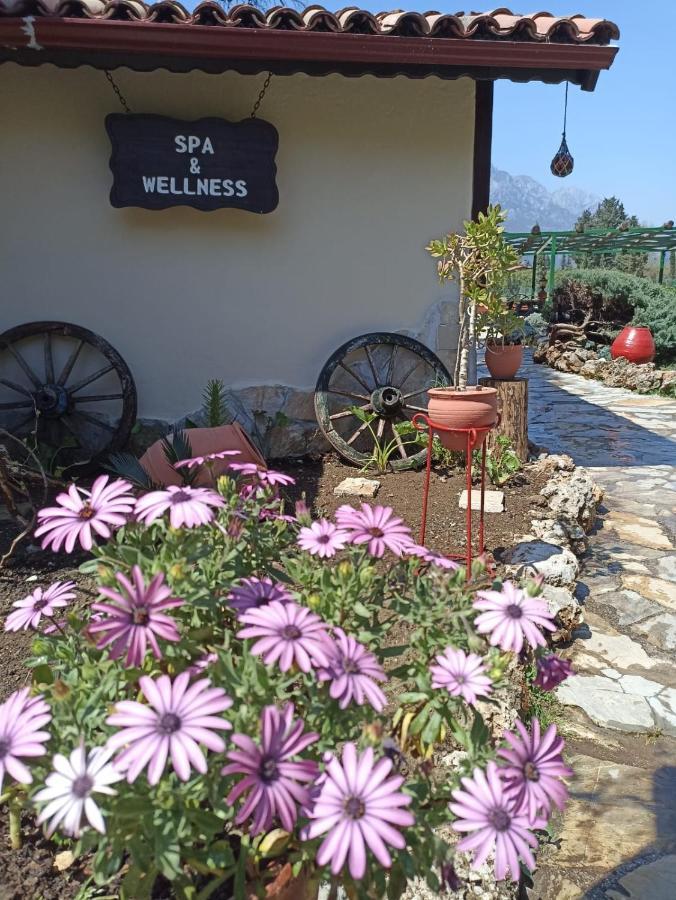 Berke Ranch&nature Hotel