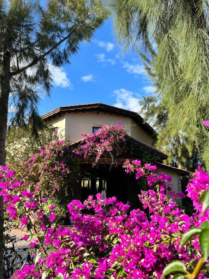 Berke Ranch&nature