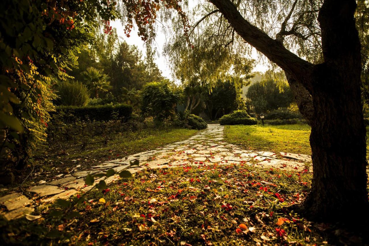 Berke Ranch&nature Hotel