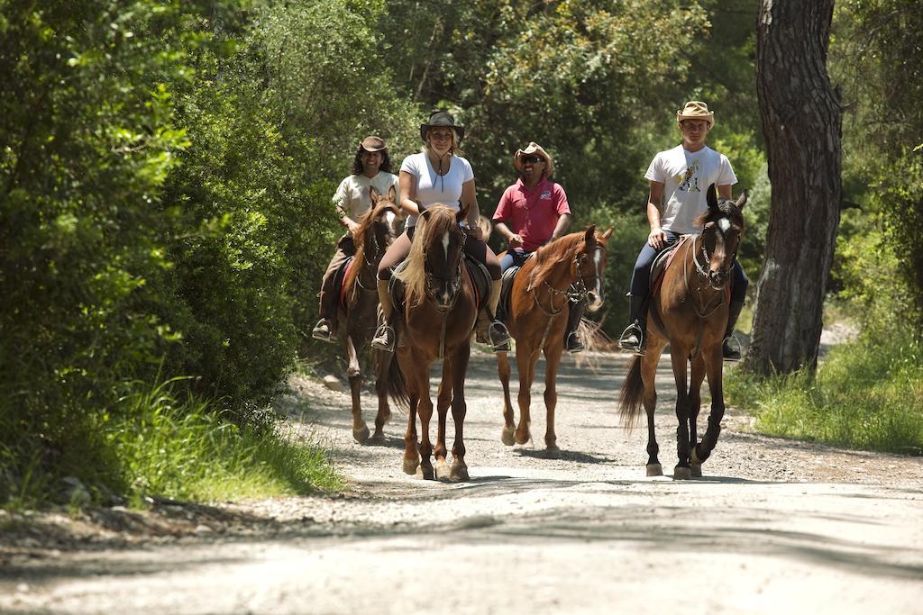 Отель Berke Ranch&nature
