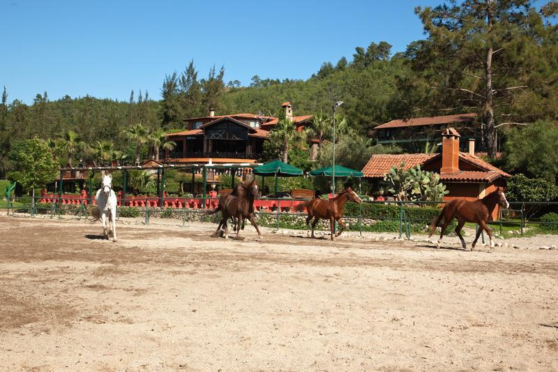 Отель Berke Ranch&nature 3*